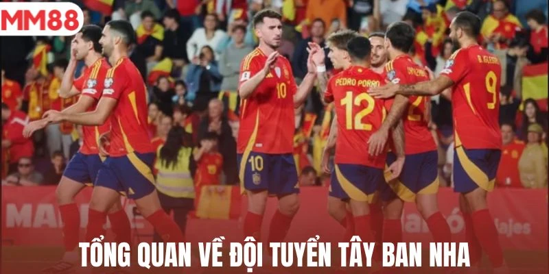 Thông tin tóm lược về đội tuyển Tây Ban Nha